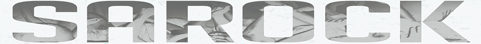 spot_img